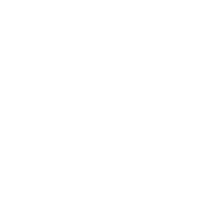 ce-certificate-ippocare