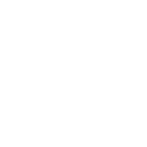 iso-13485-ippocare
