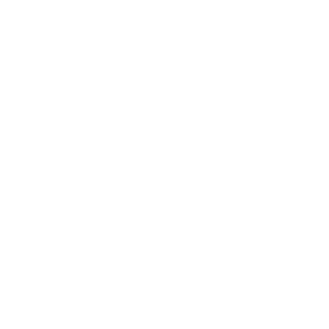 iso-9001-ippocare