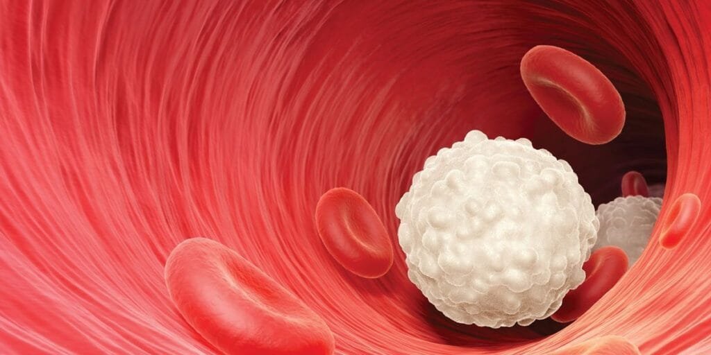 white-blood-cells-lppocare