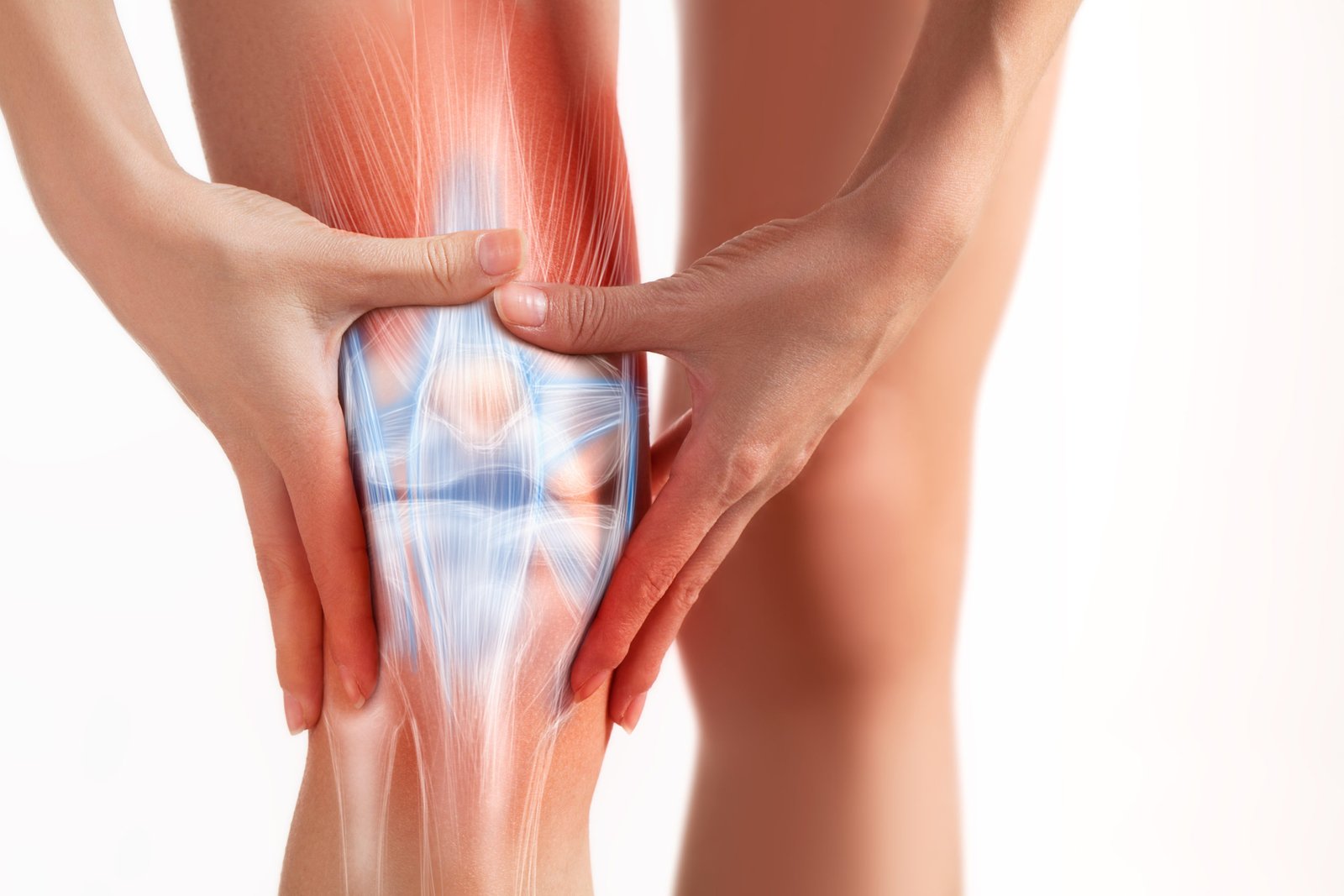 Tendon_Ligament_Muscle_Joint_Injuries_ippocare_prp