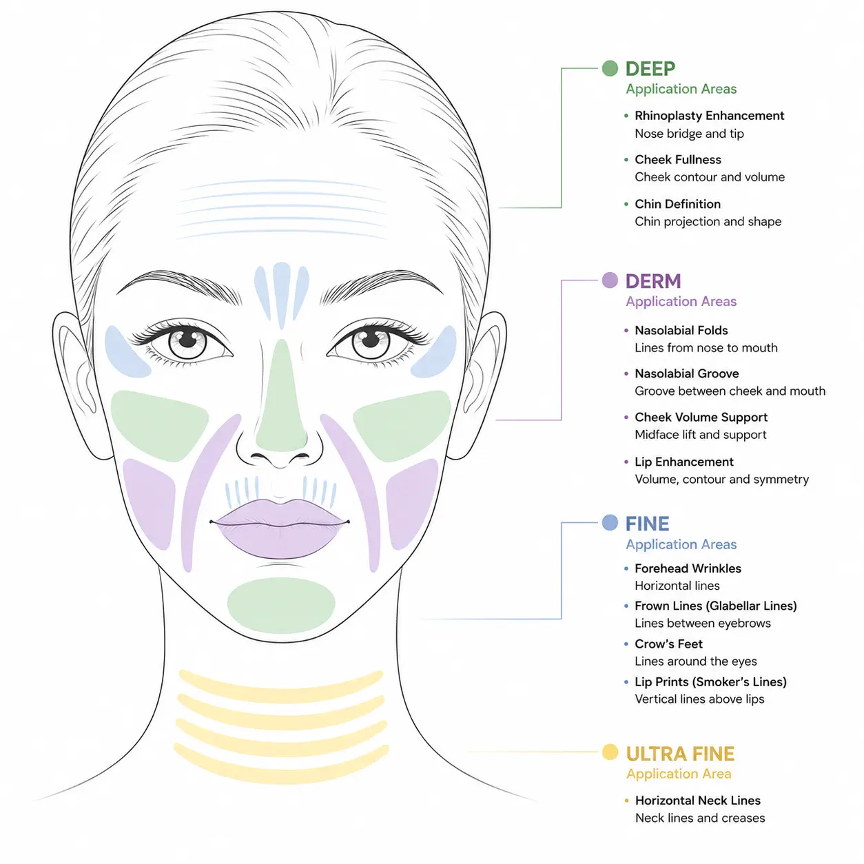 treatment area-Ha filler