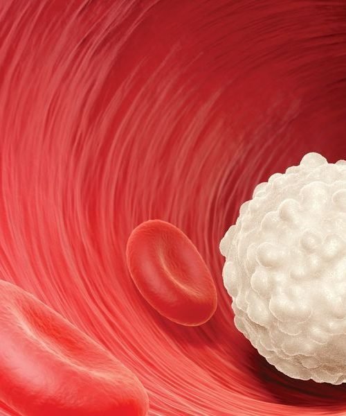 Are white blood cells present in PRP used for hair regrowth? - IPPOCARE ...